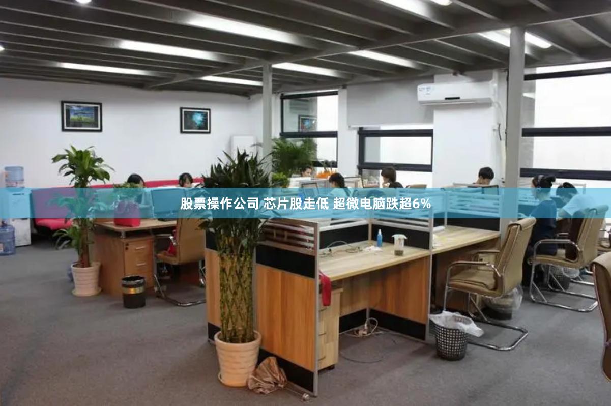 股票操作公司 芯片股走低 超微电脑跌超6%
