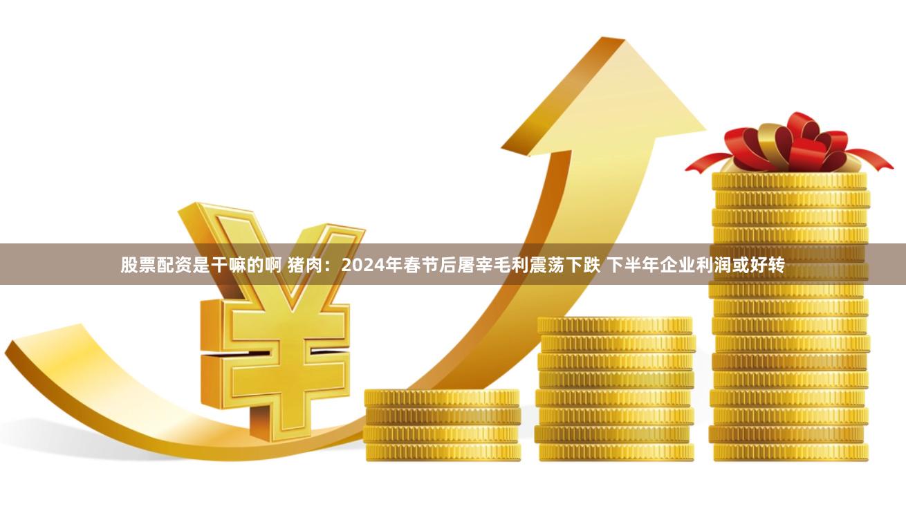 股票配资是干嘛的啊 猪肉：2024年春节后屠宰毛利震荡下跌 下半年企业利润或好转