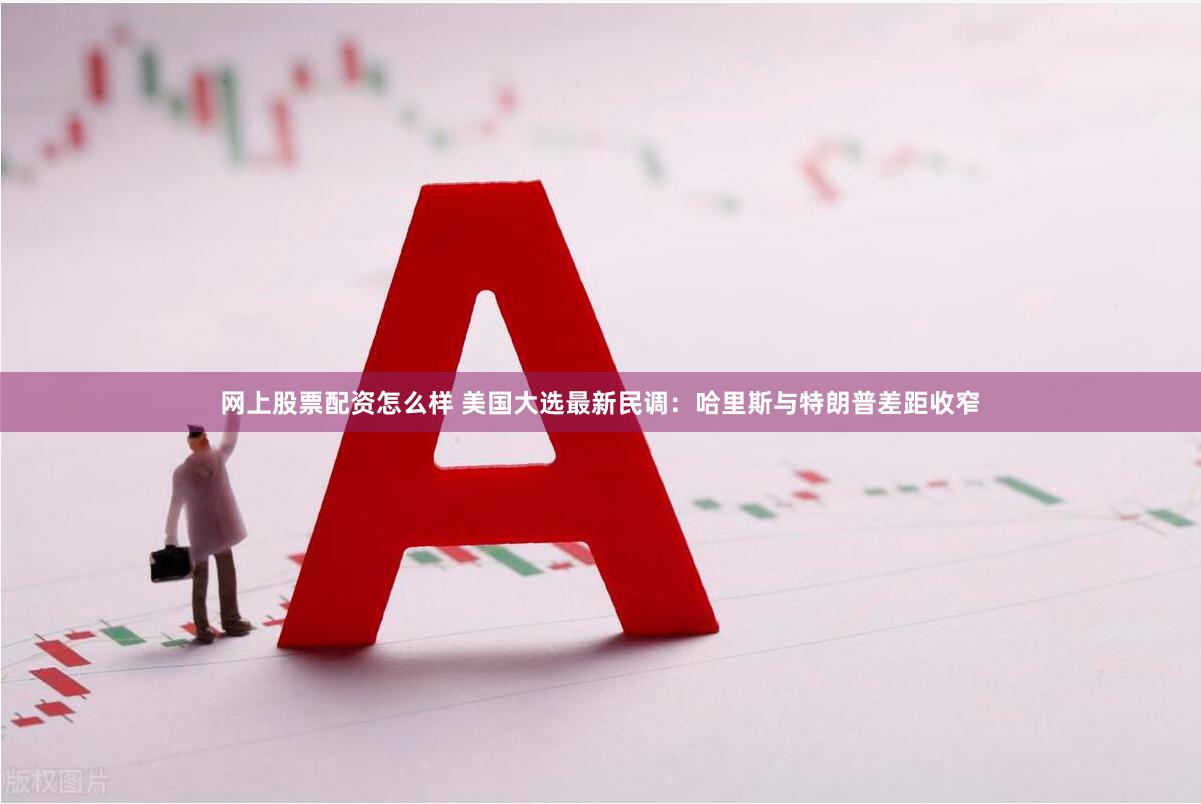 网上股票配资怎么样 美国大选最新民调：哈里斯与特朗普差距收窄
