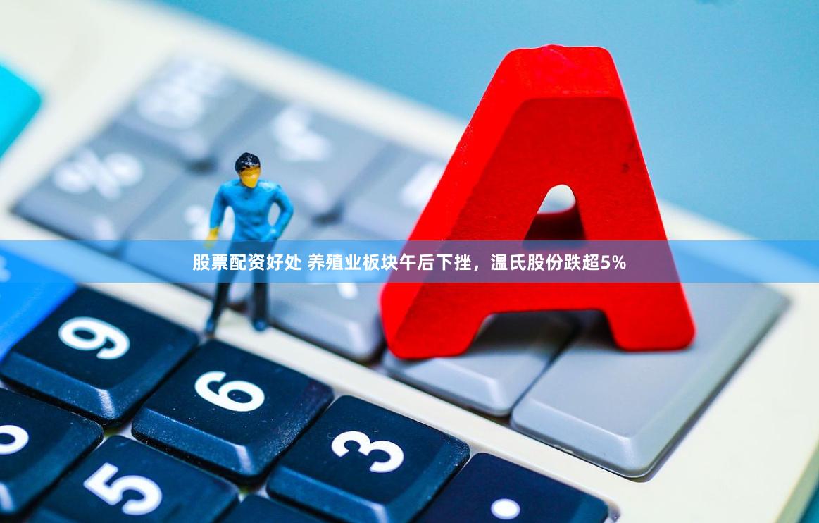 股票配资好处 养殖业板块午后下挫，温氏股份跌超5%