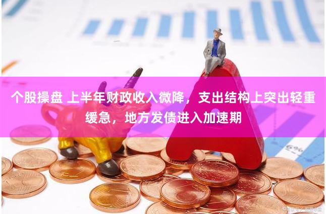 个股操盘 上半年财政收入微降，支出结构上突出轻重缓急，地方发债进入加速期